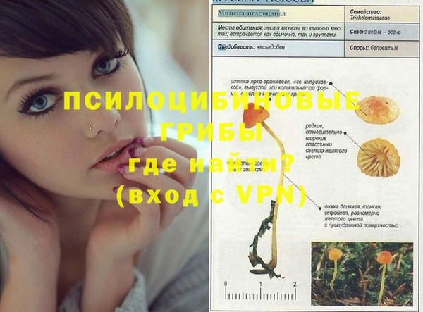 МДПВ Абдулино