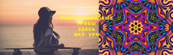дурь Алексин